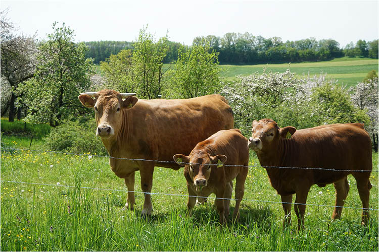 Gläserne Produktion auf dem Oberen Haldenhof in Schwäbisch Gmünd