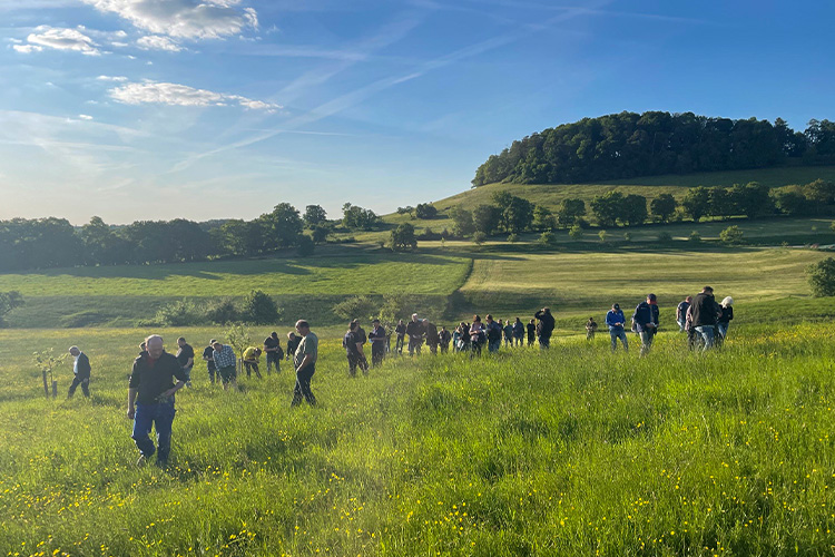 Online-Infoveranstaltungen zum Nachweis der Kennarten auf artenreichem Grünland und Grünlandbegehung in Essingen