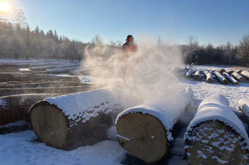 Die zum Verkauf stehenden Stämme werden von Reif und Schnee befreit, damit potenzielle Käufer das Holz genau begutachten können.