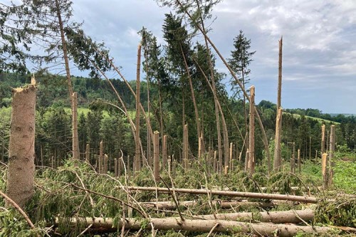 Tornado wütet in Wäldern des Ostalbkreises - Kreisforstamt ruft zu besonderer Vorsicht bei den Aufräumarbeiten auf