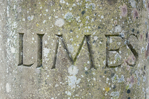 Alamannen am Limestor