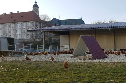 Aktionstag der Landwirtschaft bei den Heimattagen in Neresheim am 13. Oktober - Freilandhaltung von Legehühnern auf dem Klostergut