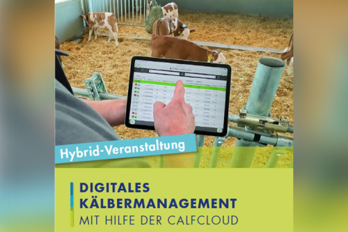dischInnovationszentrum Landwirtschaft 4.0 informiert über digitales Kälbermanagement 