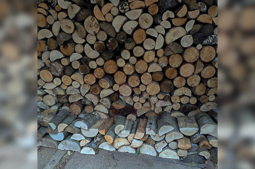 dischBrennholzversteigerung der Forst-Außenstelle Bopfingen 